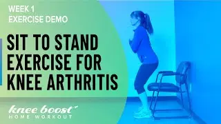 Sit to Stand Exercise (Physiotherapist Demo)