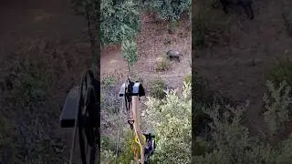 Bowhunting Wildboars! 💥🐗 Should we do a film about it? #bowhunting #wildboar #hoghunt