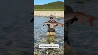 Депутатская рыба. Краснокнижный Таймень. Ловить запрещено 🚫
