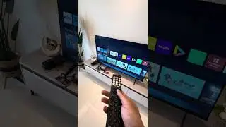 Hisense tv usage ( Netflix, YouTube, local tv channel, game console)
