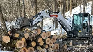 Gathering Firewood and New Ideas!