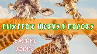 РЫЖЕРОЖ НЮХНУЛ ПОРОХУ - Джеймс Хэвок | АУДИОКНИГА
