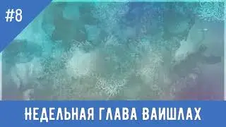 № 8 Недельная глава Ваишлах