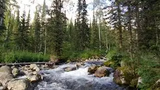 амзасская вода