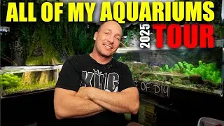 ALL MY AQUARIUMS TOUR - 2025 fish tank UPDATE - The king of DIY