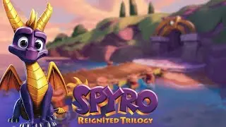 Spyro • Посиделки Бумеров