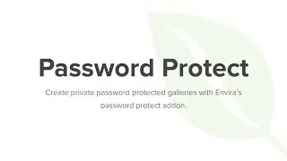 Envira Gallery Password Protect Addon