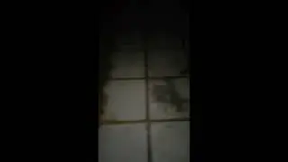 fall.mp4