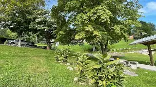 Aucuba Japonica, Crepe Myrtle and Canna Lilly in North Tennessee