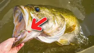 SECRET Ultralight Fishing Techniques To Catch HUGE Largemouth Bass!