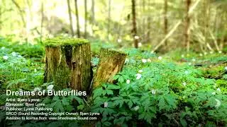 Bjørn Lynne - Dreams of Butterflies