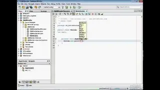Encapsulation with Java