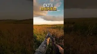 ОХОТИМСЯ И ГОТОВИМ ПЕРЕПЕЛА #охотарыбалка #охота #добыча #готовка #охотавроссии #еда #перепел