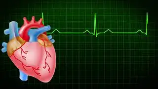 Heart Beats   4360 video clips free clips