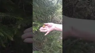 31 мая 2021 г.(2)