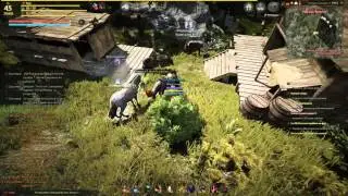 Black Desert   баг