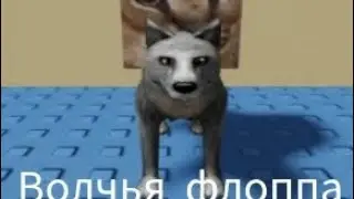 как найти Волчья флоппа