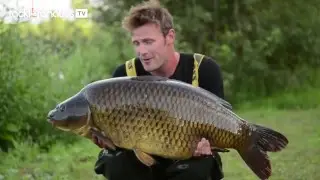 Tackle Fanatics TV - Korda Low Stocked Pits Masterclass