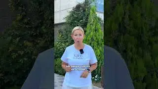 3 способа, как можно перевести деньги за покупку недвижимости из России на Северный Кипр💰