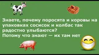 Вчера ехала в автобусе с метлой после субботника, парень долго смотрел на меня, а потом... Выпуск 17
