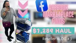 $1,289 Finds Haul for Resale on Ebay and Poshmark, Reseller Vlog #3 Facebook Marketplace Nightmare