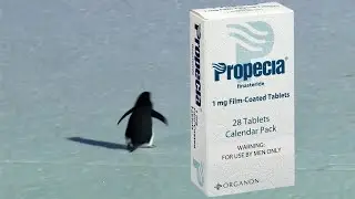 Post Finasteride Syndrome Isn't Real: The Power of Nocebo Effect