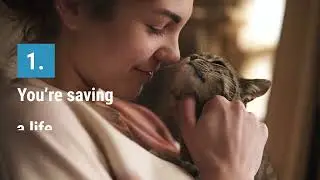 Pets and Things