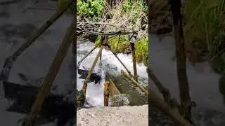 Бесплатное электричество, примитивно, зато есть. 
