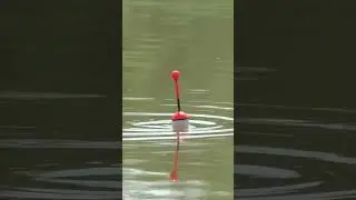 WHO'S BITING ON THE SHALLOW?! Spring fishing SURPRISED! Fishing 2025 