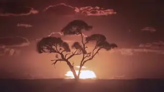 alt-J - Nara (Music Video)