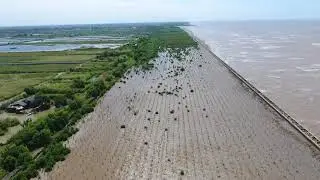 Coast at Huong Mai, Rach Dinh, Ca Mau (15/01/2018)