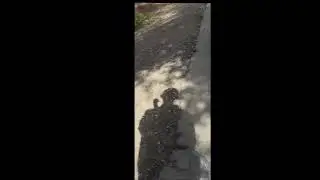 Running on Alameda Creek 3/27/25