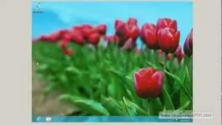 How to install windows 8 on virtualbox Release Preview