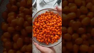 За 1 минуту перерабатываю облепиху!https://ya.cc/m/Kw9FOIO?erid=5jtCeReNx12oajqqaezrn6