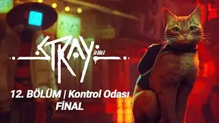 Stray I 12. Bölüm - Kontol Odası FİNAL