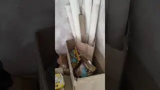 Когда кошка не слушается 