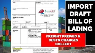 How to check Import Draft BL II Import Bill of Landing 