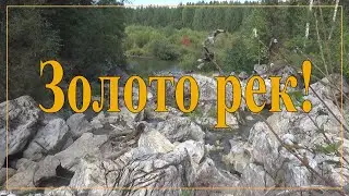 Золото рек