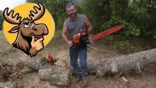 fuzzy moose ms 660 clone saw unboxing and first run