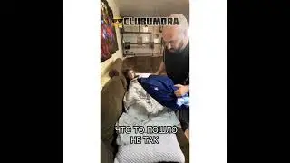 #своимируками #свобода #любой #ценой
