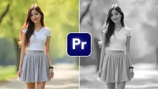 How to Add Black and White Effect in Premiere pro