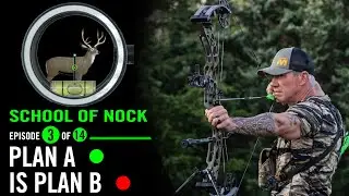 School of Nock: 