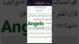 Company of angels #angels #quranrecitation