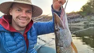 Щука на Десні. #fishing