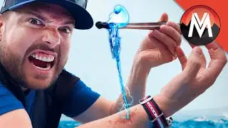 Man O’ War STING TEST!