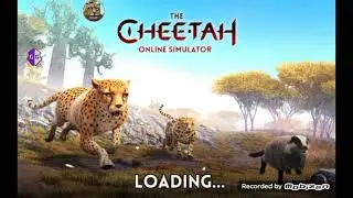 The Cheetah Attributes Hack