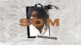 SDM x PLK Type Beat - 