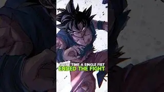 Everytime a single fist ended the fight?!