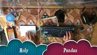 Holy Panda on Maja Test (with comparison to boba u4 thocs)