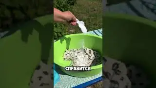 Передумала стирать дочку вместе с вещами😄#домвдеревне #домиквдеревне #рецепт #обзор #